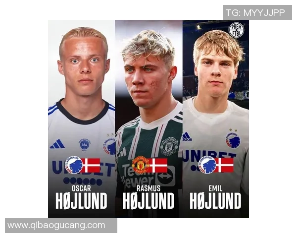 霍伊伦：探索这位杰出人物的生平与成就背后的故事与影响